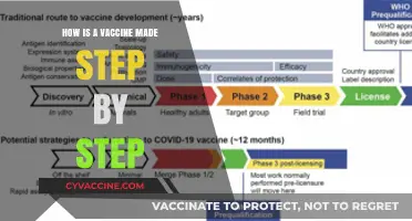 Vaccine Development Process: A Step-by-Step Guide to Creation and Approval