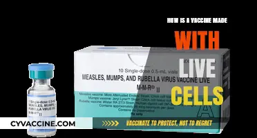 Live Cell Vaccines: The Science Behind Their Creation and Use