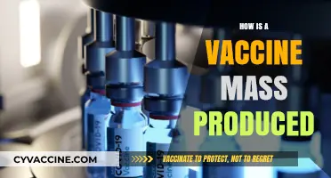 From Lab to Global Supply: The Mass Production of Vaccines Explained