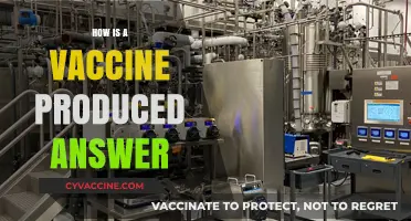 Understanding the Complex Process of Vaccine Production and Development