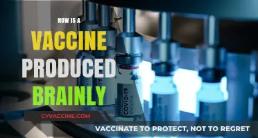 Understanding Vaccine Production: A Step-by-Step Guide to Development