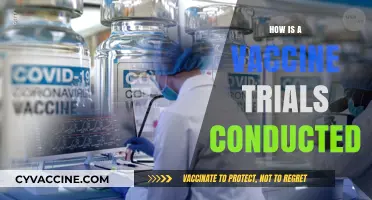 Understanding Vaccine Trials: A Step-by-Step Guide to Clinical Testing