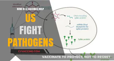 Vaccines: Empowering Our Immune System to Combat Pathogens Effectively