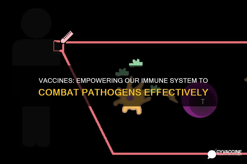 how is a vaccines help us fight pathogens
