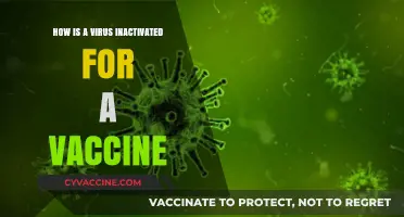 Understanding Vaccine Development: Methods to Inactivate Viruses for Safe Immunization