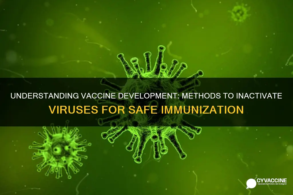 how is a virus inactivated for a vaccine