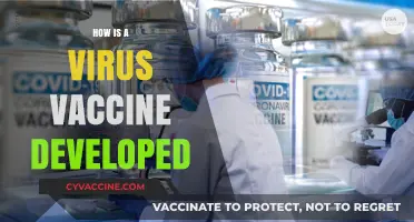 Understanding the Complex Process of Developing a Virus Vaccine