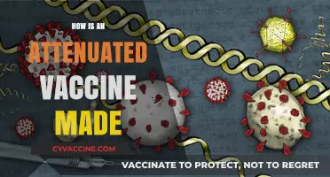 Creating Attenuated Vaccines: A Step-by-Step Guide to Weakening Pathogens