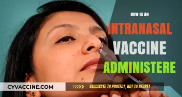 Intranasal Vaccine Administration: A Step-by-Step Guide to Nasal Delivery