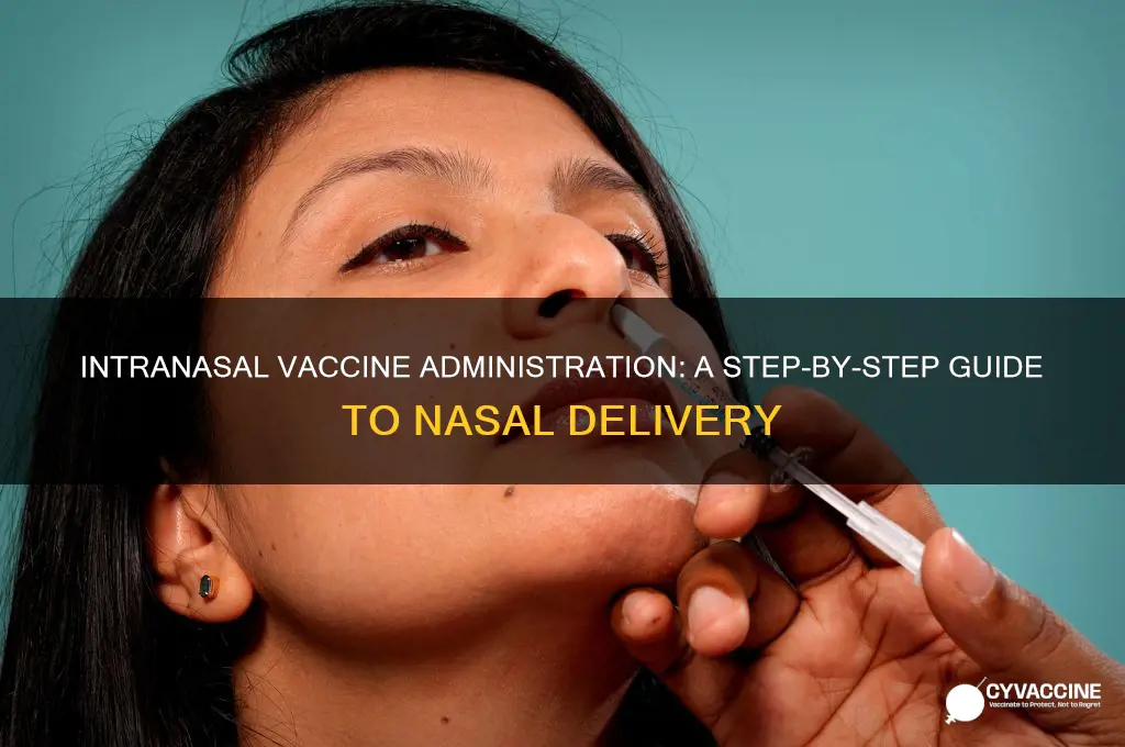 how is an intranasal vaccine administered