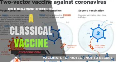 RNA Vaccines vs. Classical Vaccines: Key Differences Explained