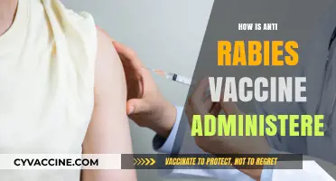 Administering Anti-Rabies Vaccines: A Step-by-Step Guide to Proper Injection