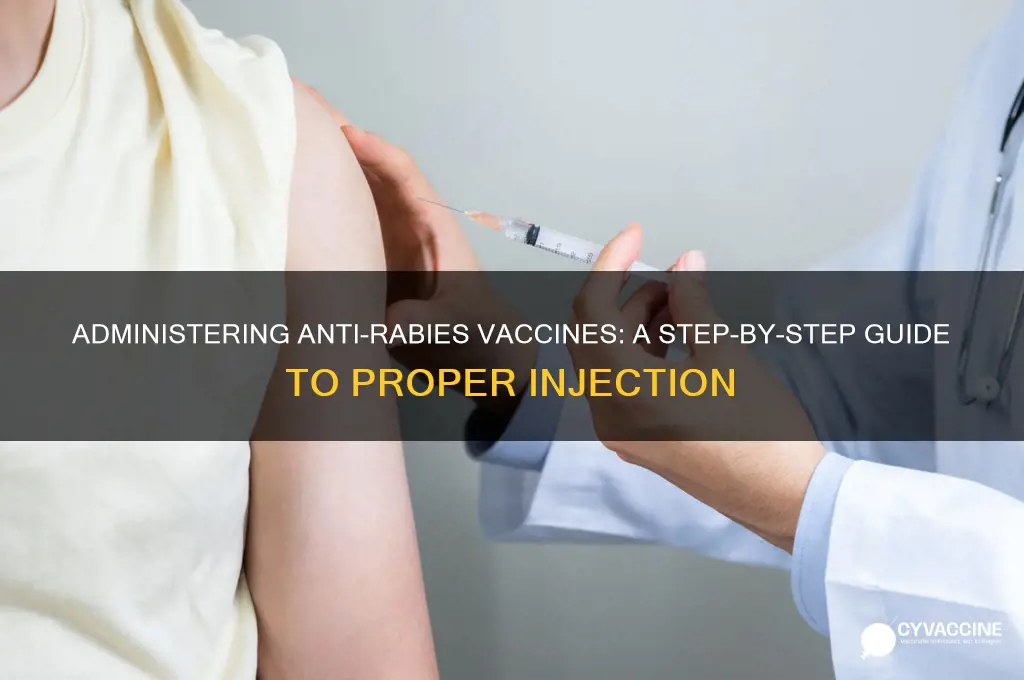 how is anti rabies vaccine administered