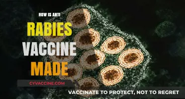 Unveiling the Process: How Anti-Rabies Vaccines Are Manufactured