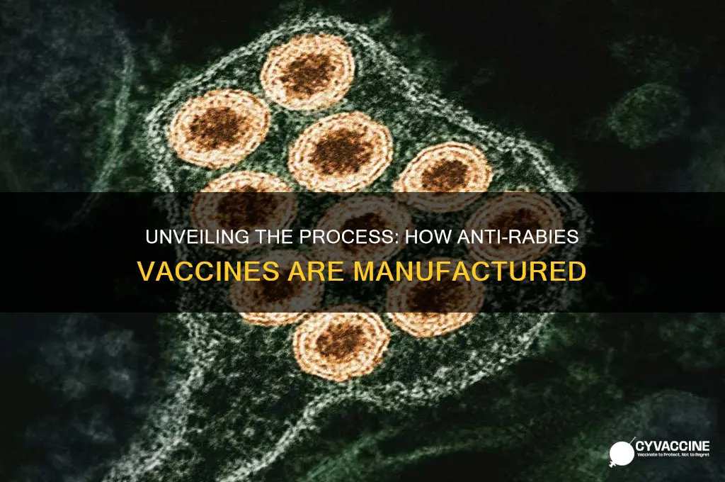 how is anti rabies vaccine made