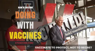 Arizona's Vaccine Progress: Successes, Challenges, and Future Outlook