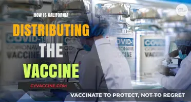 California's Vaccine Rollout: Distribution Strategies and Community Access Explained