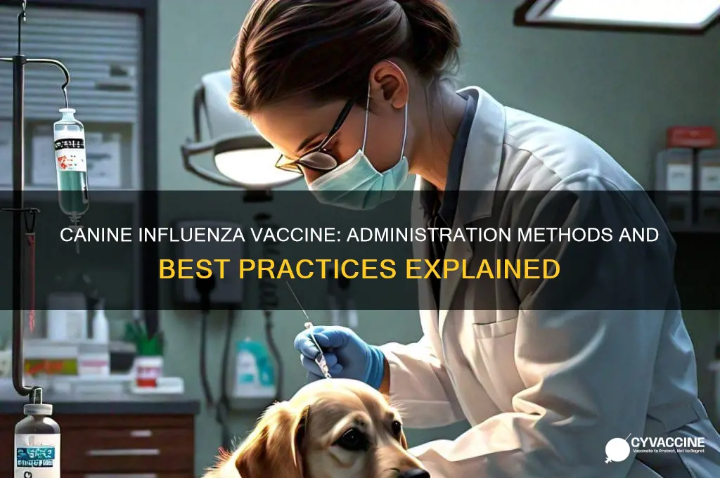 how is canine influenza vaccine administered