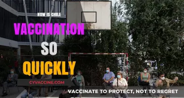 Chile's Rapid Vaccination Success: Strategies and Lessons for the World