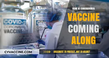 Latest Updates: Coronavirus Vaccine Development Progress and Timeline