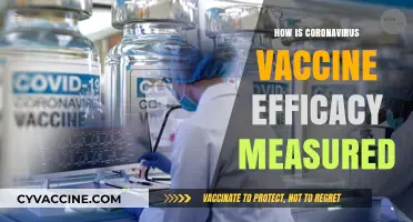Understanding Coronavirus Vaccine Efficacy: How Effectiveness is Measured and Evaluated