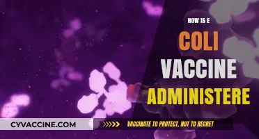 E. Coli Vaccine Administration: Methods, Dosage, and Best Practices Explained