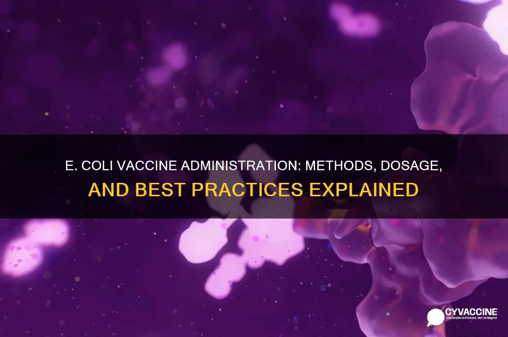 how is e coli vaccine administered