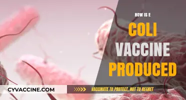 E. Coli Vaccine Production: A Step-by-Step Manufacturing Process