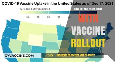 State-by-State Vaccine Rollout Progress: Challenges, Successes, and Updates