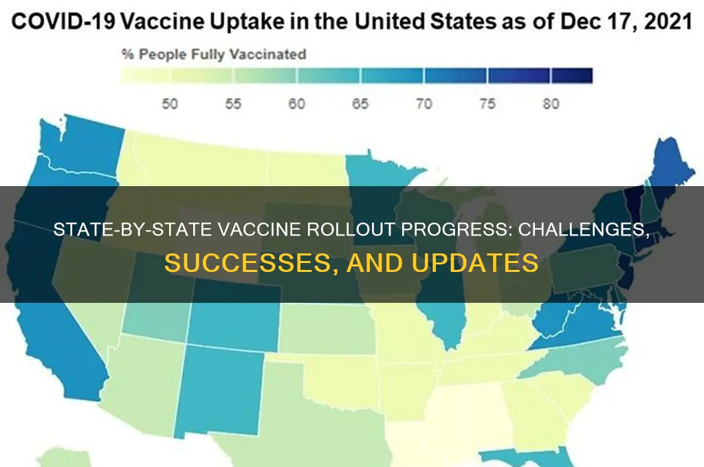 how is each state doing with vaccine rollout
