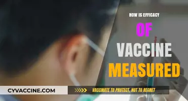 Measuring Vaccine Efficacy: Key Metrics and Clinical Trial Insights