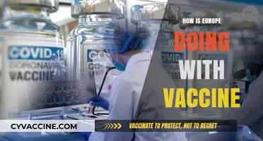 Europe's Vaccine Progress: Challenges, Successes, and Future Outlook