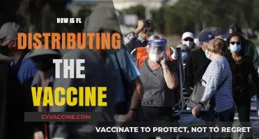 Florida's COVID-19 Vaccine Distribution: Strategies, Challenges, and Progress