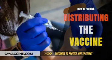 Florida's COVID-19 Vaccine Rollout: Distribution Plan and Priorities Explained