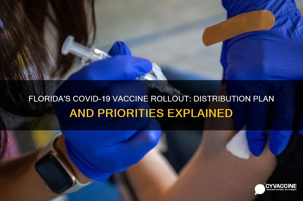 how is florida distributing the vaccine
