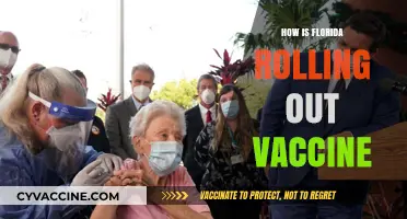 Florida's COVID-19 Vaccine Rollout: Phases, Priorities, and Progress Updates