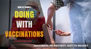 France's Vaccination Progress: Successes, Challenges, and Future Outlook