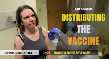 Georgia's COVID-19 Vaccine Rollout: Distribution Plan and Priorities Explained