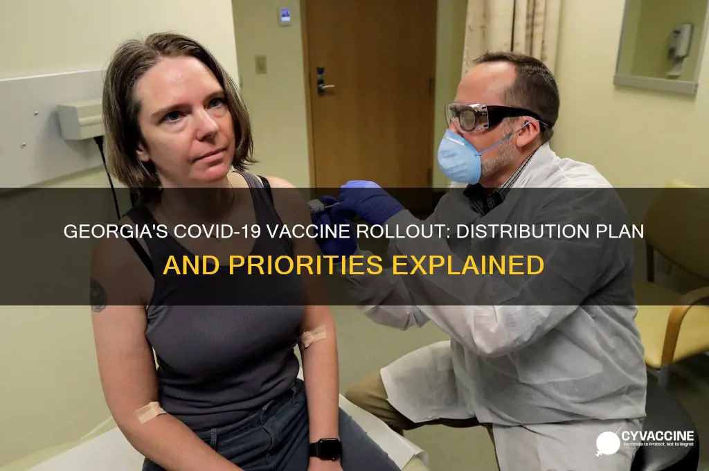 how is georgia distributing the vaccine