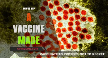 Understanding the Science Behind Creating the Hepatitis A Vaccine