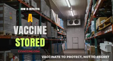 Proper Storage of Hepatitis A Vaccine: Guidelines and Best Practices