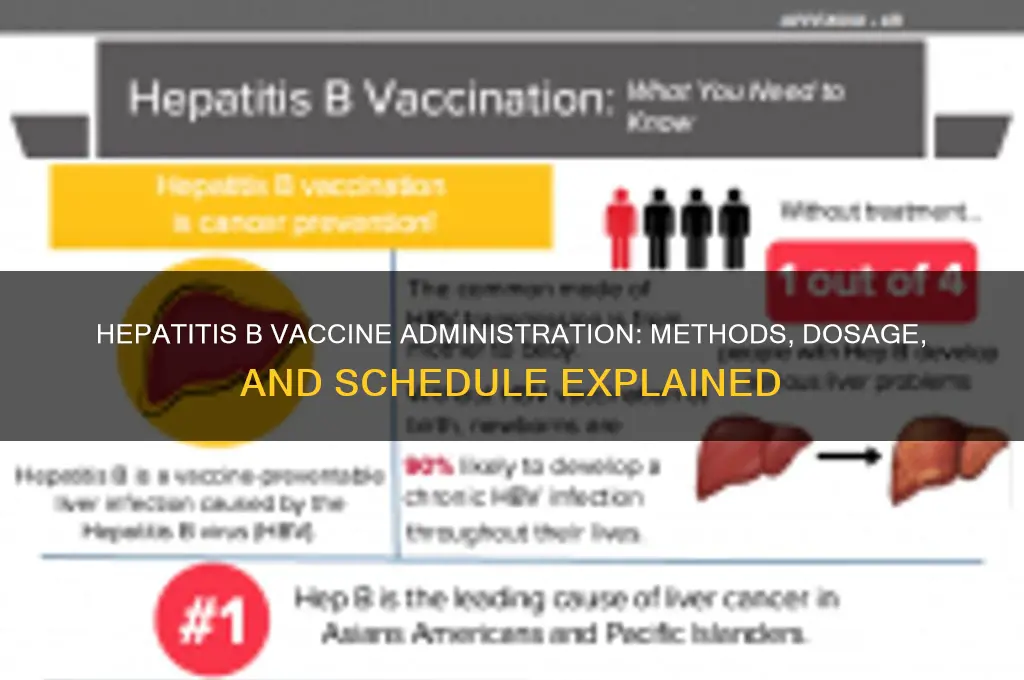 how is hepatitis b vaccine administered