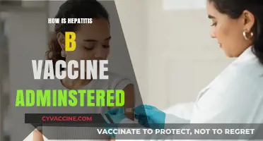 Hepatitis B Vaccine Administration: Methods, Dosage, and Schedule Explained