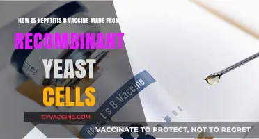 Recombinant Yeast Technology: Crafting the Hepatitis B Vaccine