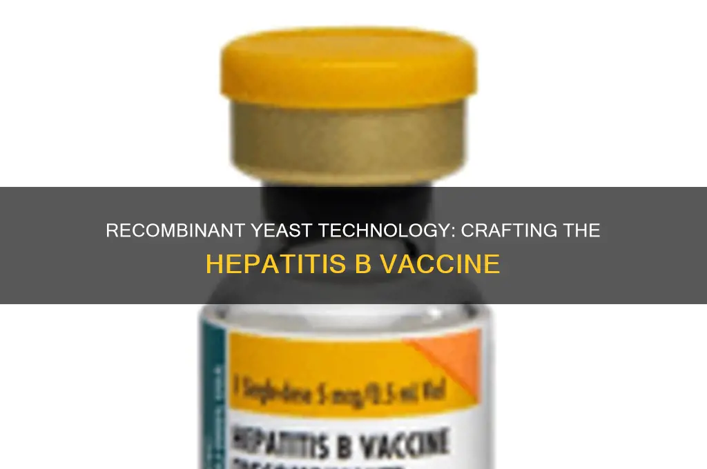 how is hepatitis b vaccine made from recombinant yeast cells