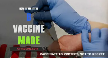 Understanding the Production Process of the Hepatitis B Vaccine