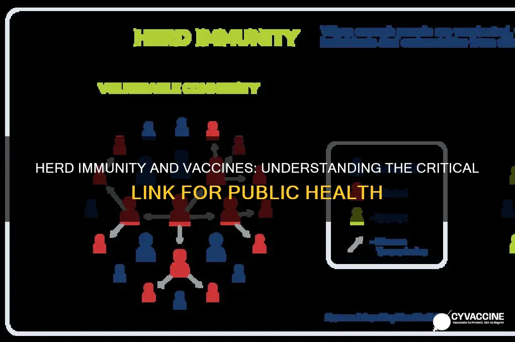 how is herd immunity related to vaccine coverage