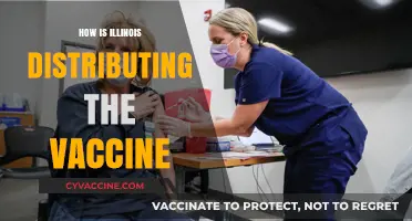 Illinois Vaccine Rollout: Distribution Phases, Eligibility, and Access Explained