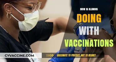 Illinois Vaccination Progress: Successes, Challenges, and Future Outlook