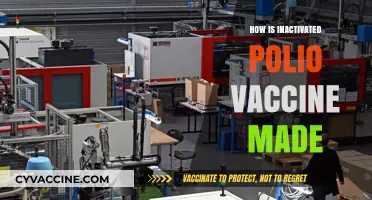Understanding the Production Process of Inactivated Polio Vaccine (IPV)